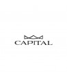 Capital